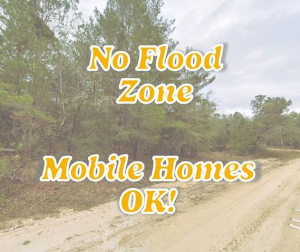 Undeveloped Land in Putnam County, Florida