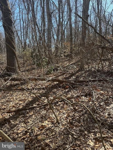 Undeveloped Land in Louisa County, Virginia