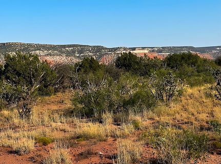 Land in Guadalupe County, New Mexico
