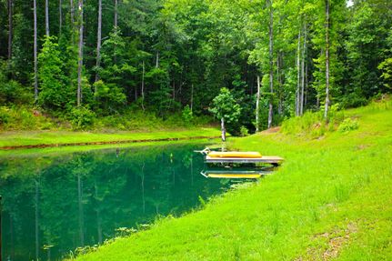 Undeveloped Land in Oconee County, South Carolina