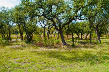 Farm and Ranch for sale in Hays County, Texas