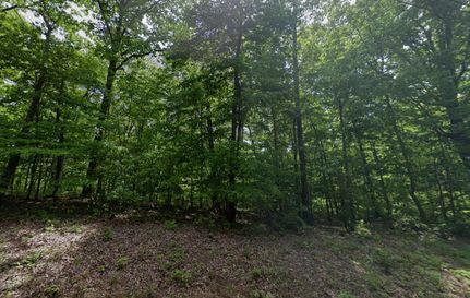 Undeveloped Land in DeKalb County, Tennessee