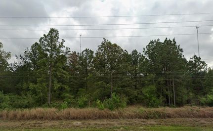 Undeveloped Land in Fort Bend County, Texas