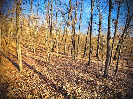 Horse Property in Benton County, Missouri