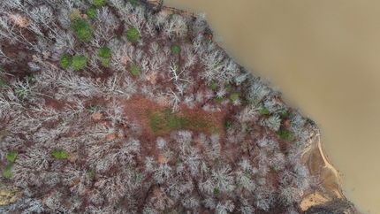 Undeveloped Land in Mecklenburg County, Virginia