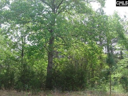 Land in Kershaw County, South Carolina