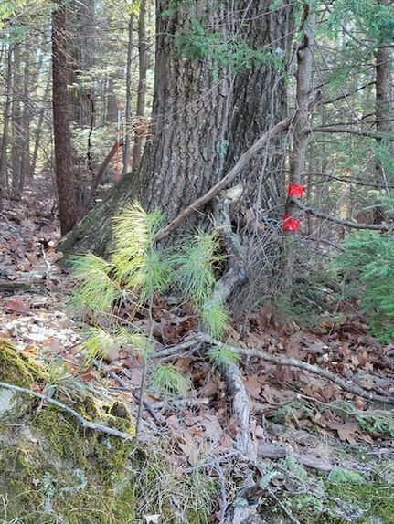 Land in Worcester County, Massachusetts