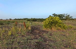Undeveloped Land in Bexar County, Texas