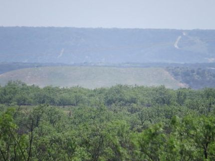 Undeveloped Land in Coke County, Texas
