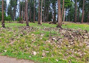 Farm and Ranch in Otero County, New Mexico