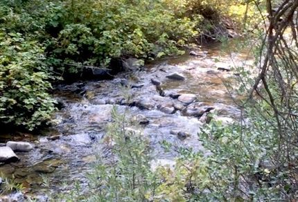 Timberland Property in Boise County, Idaho