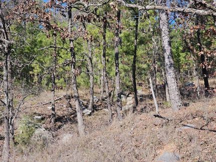 Undeveloped Land in Pittsburg County, Oklahoma