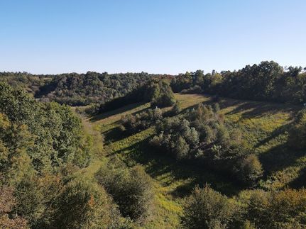 Undeveloped Land in Coffee County, Tennessee