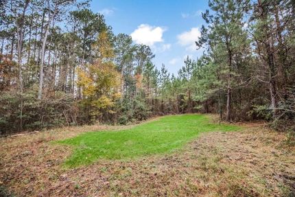 Timberland Property in Amite County, Mississippi