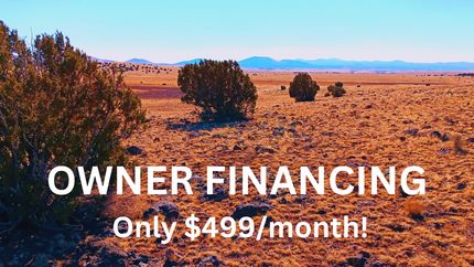 Undeveloped Land in Apache County, Arizona