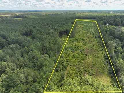 Land for sale in Tyler County, Texas