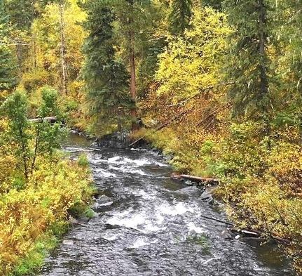 Hunting Property in Pennington County, South Dakota