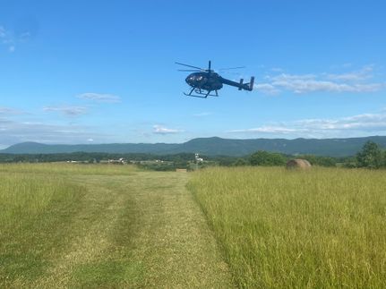 Land for sale in Rockbridge County, Virginia