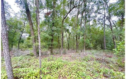 Land in Lafayette County, Florida