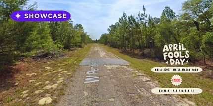 Undeveloped Land in Citrus County, Florida
