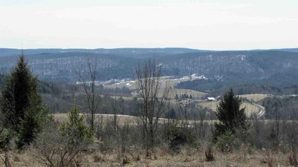 Undeveloped Land in Chenango County, New York