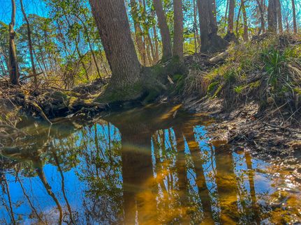 Land for sale in Cherokee County, Texas