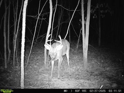 Recreational Property for sale in Phillips County, Arkansas