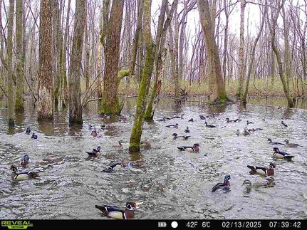 Recreational Property for sale in Phillips County, Arkansas