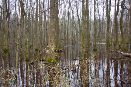 Land for sale in Phillips County, Arkansas