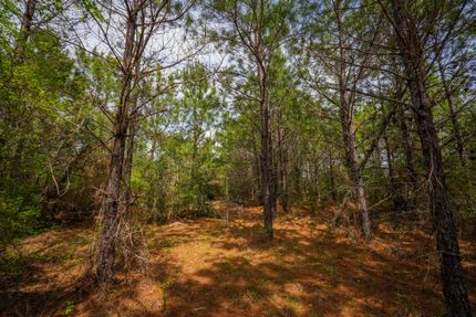 Undeveloped Land for sale in Newton County, Texas