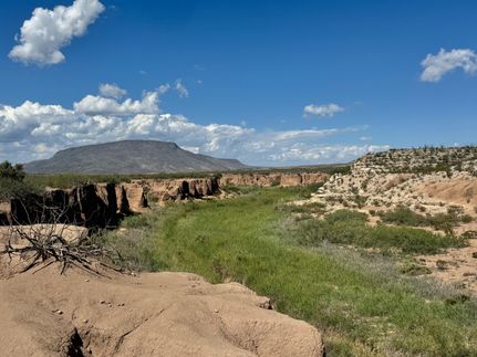Farm and Ranch for sale in Brewster County, Texas