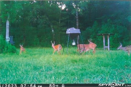Recreational Property in Pike County, Mississippi