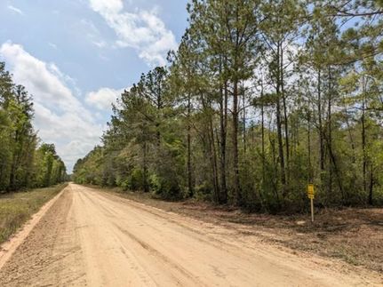 Recreational Property in Suwannee County, Florida