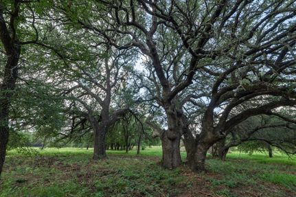 Commercial Property in Hood County, Texas