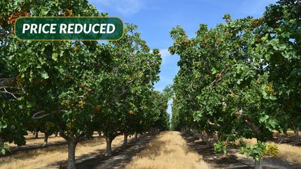 Land for sale in Kern County, California