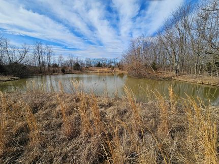 Timberland Property in Clay County, Missouri