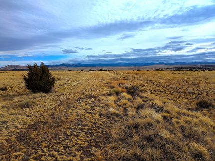 Farm and Ranch in Apache County, Arizona