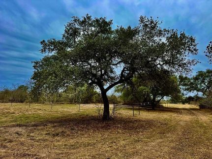 Undeveloped Land in Bee County, Texas