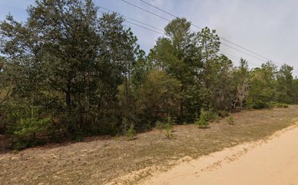 Timberland Property in Putnam County, Florida