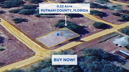 Undeveloped Land in Putnam County, Florida