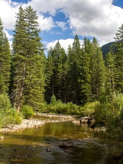 Lakefront Property in Fremont County, Idaho