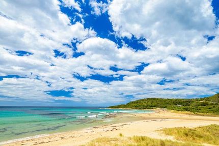 Undeveloped Land in Calhoun County, Texas