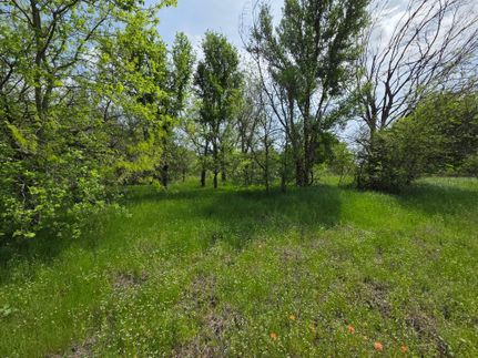 Farm and Ranch for sale in Navarro County, Texas