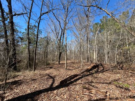 Undeveloped Land for sale in Bladen County, North Carolina