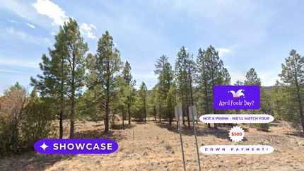 Undeveloped Land in Cibola County, New Mexico