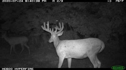 Farm and Ranch in Clark County, Illinois