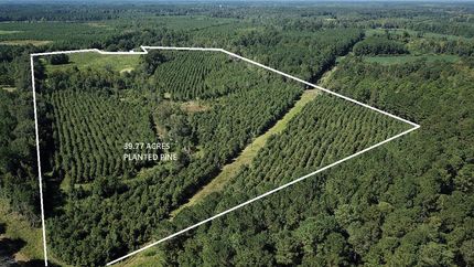 Recreational Property for sale in Colleton County, South Carolina