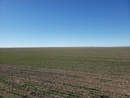 Timberland Property in Deuel County, Nebraska