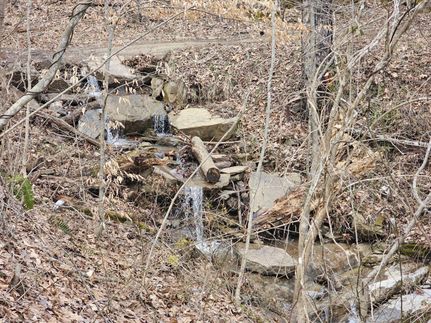 Land for sale in Summers County, West Virginia