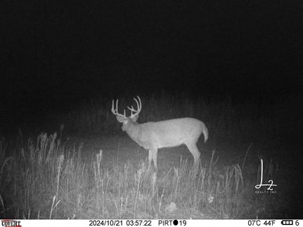 Timberland Property in Bourbon County, Kansas